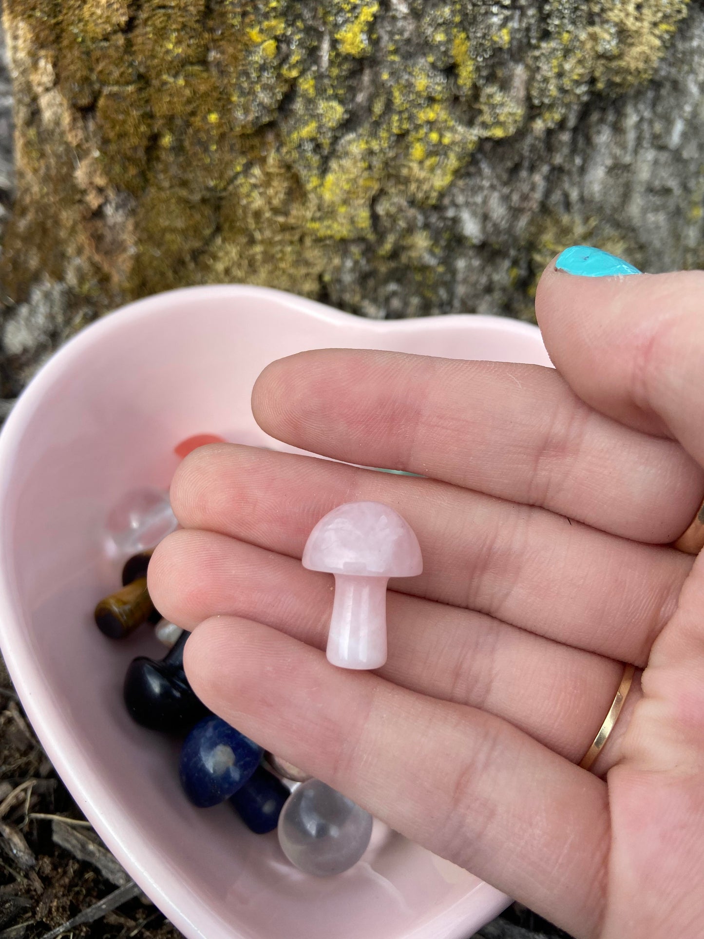 Mystery Mini Crystal Mushroom