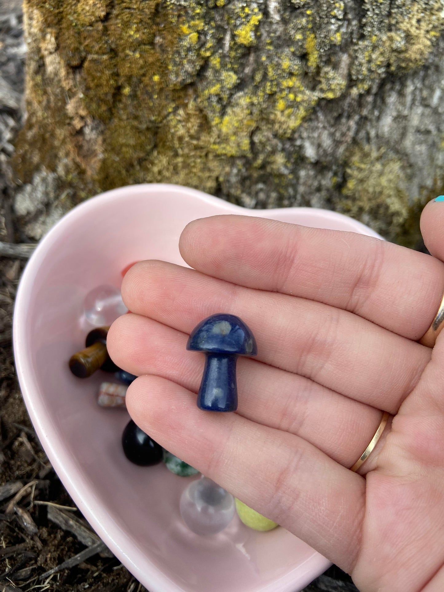 Mystery Mini Crystal Mushroom