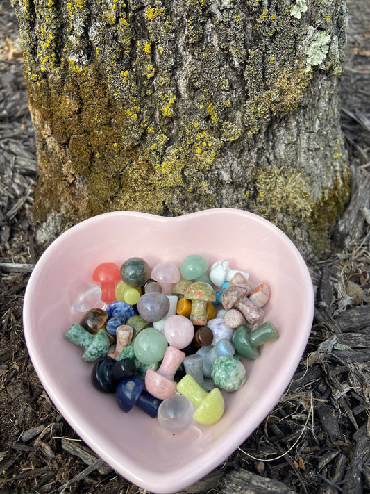 Mystery Mini Crystal Mushroom